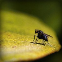/album/asptt-sainte-marie-aux-ch%c3%aanes/photolia-a07-jpg/